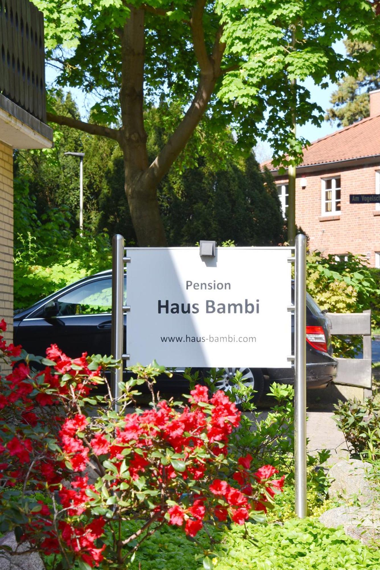 Mölln Pension Haus Bambi מראה חיצוני תמונה